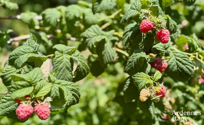 Ger�umiges Ferienhaus f�r 14 Personen mit 5 Schlafzimmern, 4 Badezimmern und gro�em Privatgarten in Hamoir, Ardennen