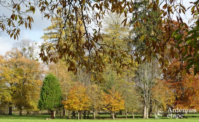 Schloss Hamoir 8/9 Pers. Ardennen