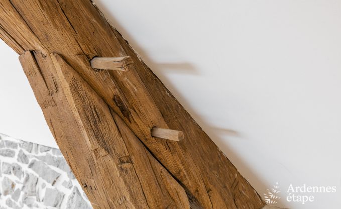 Cottage Hamois 9 Pers. Ardennen Wellness