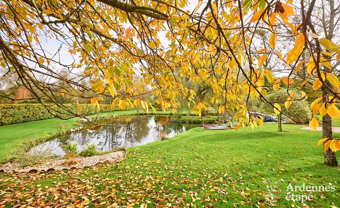 Ferienhaus Hamois 8 Pers. Ardennen Behinderten gerecht