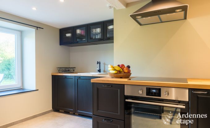 Ferienhaus Han sur Lesse 10 Pers. Ardennen