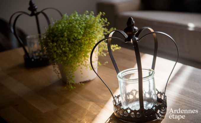 Ferienhaus Han sur Lesse 10 Pers. Ardennen