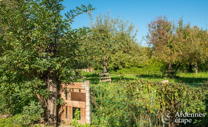 Ferienhaus Han sur Lesse 10 Pers. Ardennen