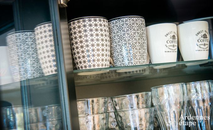 Ferienhaus Han sur Lesse 10 Pers. Ardennen