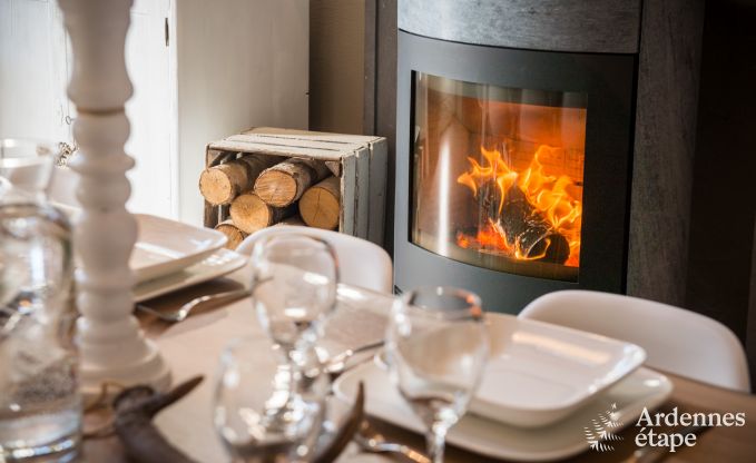 Ferienhaus Han sur Lesse 10 Pers. Ardennen