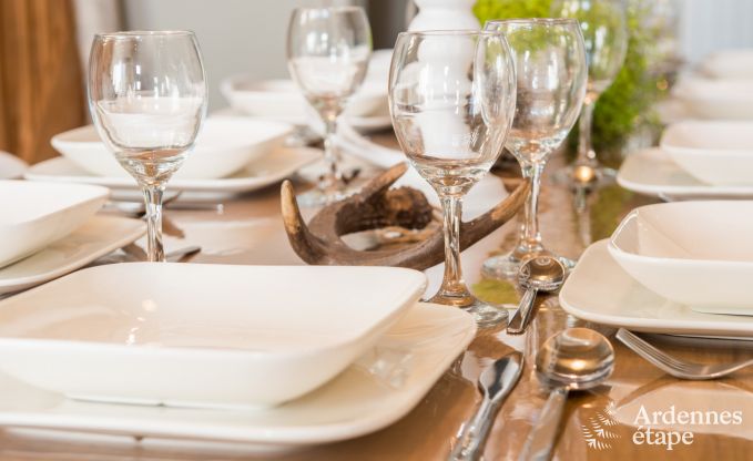 Ferienhaus Han sur Lesse 10 Pers. Ardennen