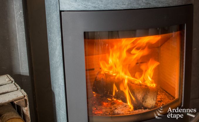 Ferienhaus Han sur Lesse 10 Pers. Ardennen