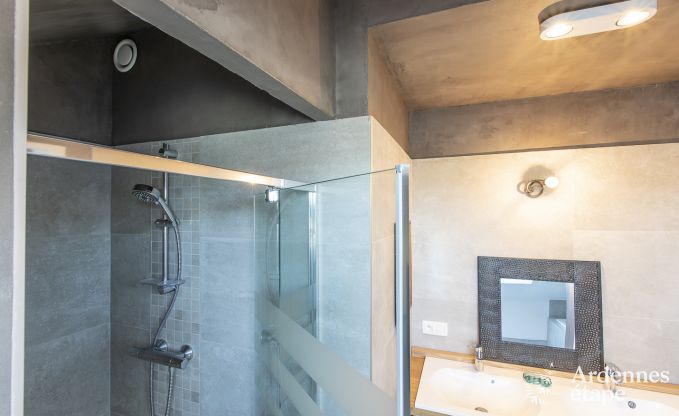 Ferienhaus Han-sur-Lesse 9 Pers. Ardennen