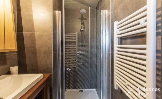 Ferienhaus Han-sur-Lesse 9 Pers. Ardennen