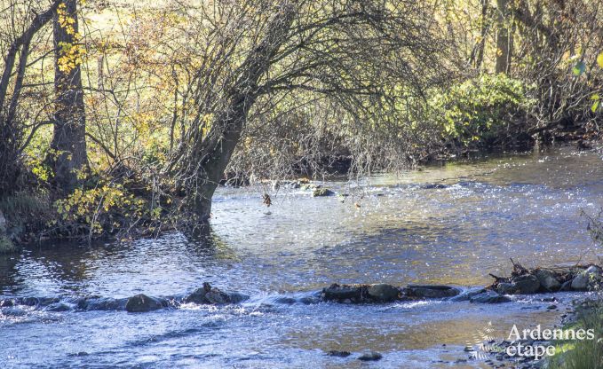 Ferienhaus Han-sur-Lesse 9 Pers. Ardennen