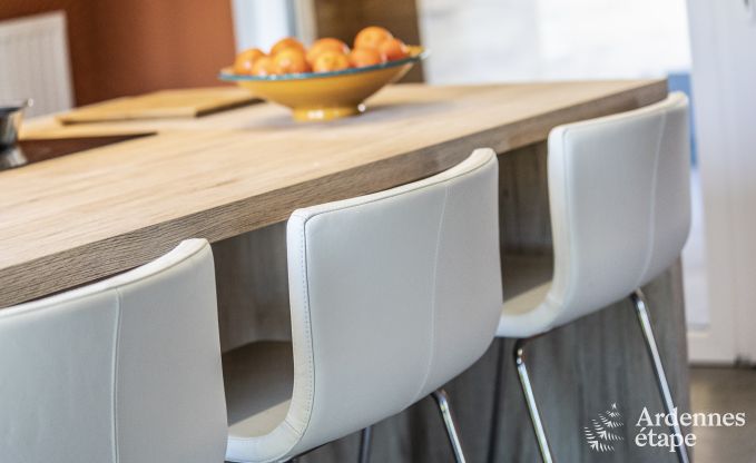 Ferienhaus Han-sur-Lesse 9 Pers. Ardennen