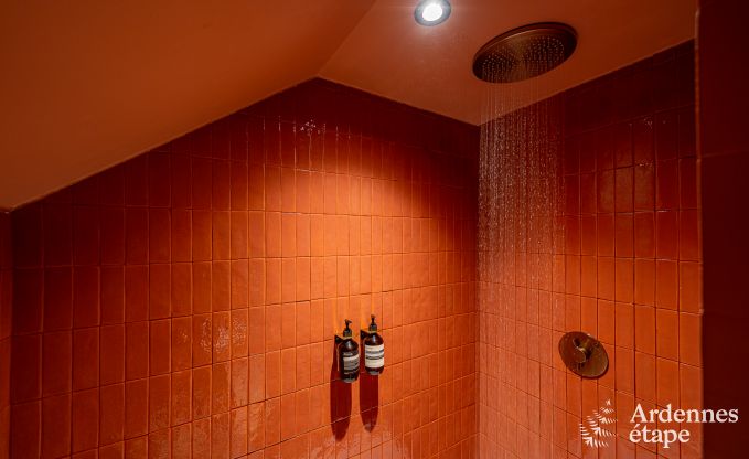 Gem�tliches Ferienhaus in Han-sur-Lesse f�r 8 Personen mit Sauna und Garten in der N�he der Grotten von Han