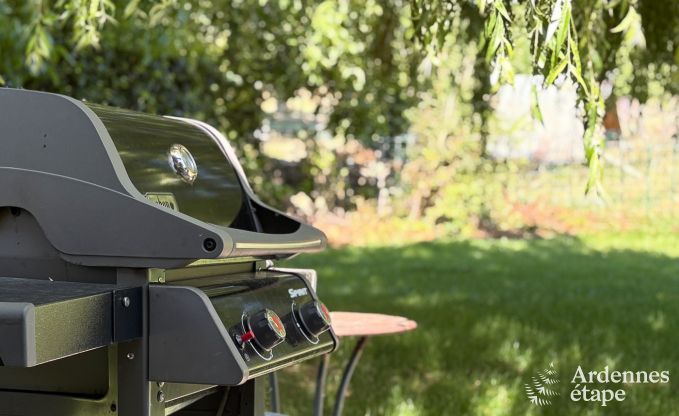 Gem�tliches Ferienhaus in Han-sur-Lesse f�r 8 Personen mit Sauna und Garten in der N�he der Grotten von Han