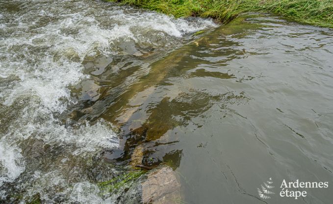 Charmantes Ferienhaus in Han-sur-Lesse; Ardennen
