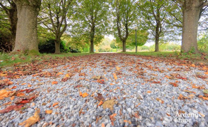 Ferienhaus Hannut 20 Pers. Ardennen Schwimmbad Wellness Behinderten gerecht