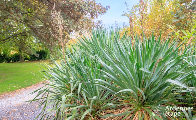 Ferienhaus Hannut 20 Pers. Ardennen Schwimmbad Wellness Behinderten gerecht