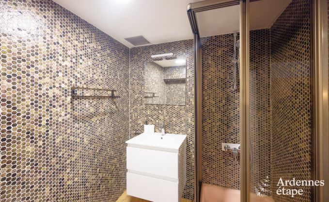 Ferienhaus Hannut 20 Pers. Ardennen Schwimmbad Wellness Behinderten gerecht