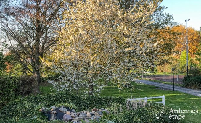 Ferienhaus Hannut 20 Pers. Ardennen Schwimmbad Wellness Behinderten gerecht