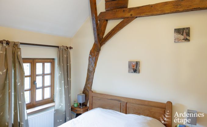 Ferienhaus Hannut 20 Pers. Ardennen Schwimmbad Wellness Behinderten gerecht