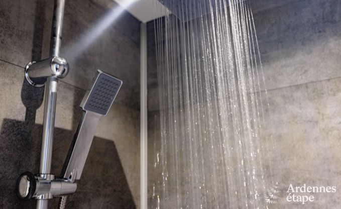 Ferienhaus Hannut 20 Pers. Ardennen Schwimmbad Wellness Behinderten gerecht