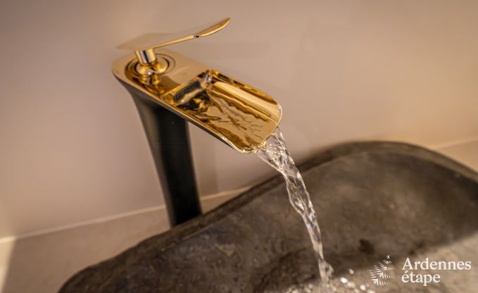 Ger�umige Luxusvilla mit Pool in Hasti�re, Ardennen