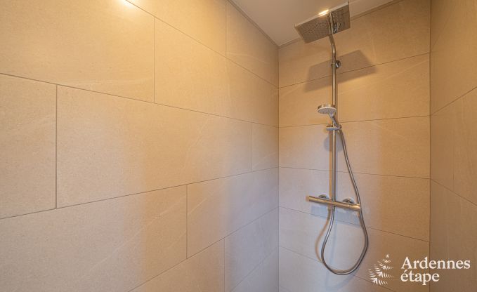 Ger�umige Luxusvilla mit Pool in Hasti�re, Ardennen