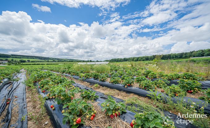 Wundersch�nes Ferienhaus f�r 14 Personen in Havelange