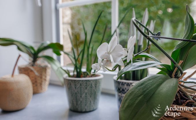 Ferienhaus Havelange 6 Pers. Ardennen