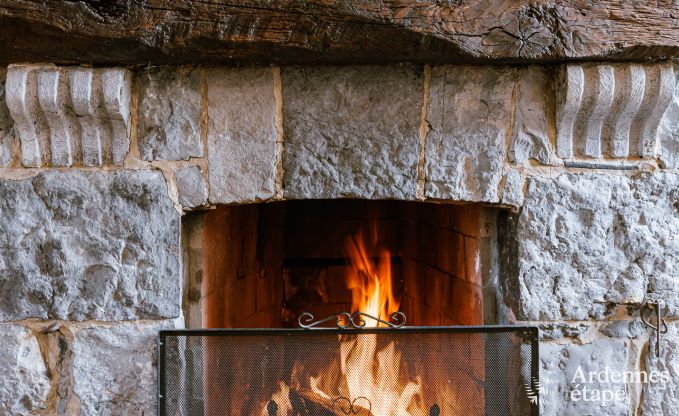 Ferienhaus Havelange 9 Pers. Ardennen