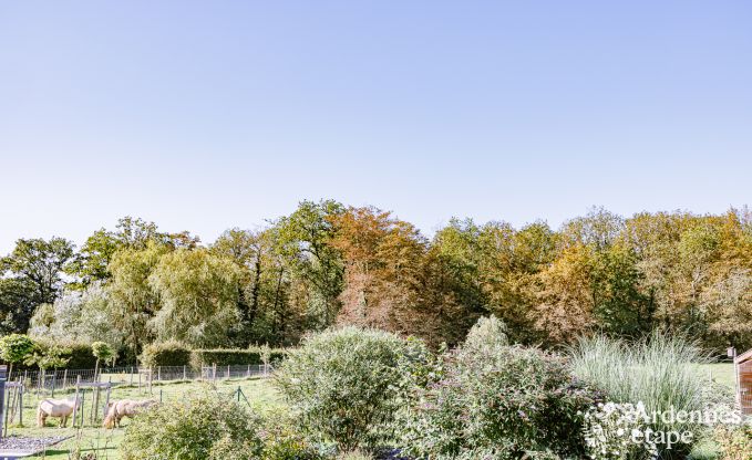 Ferienhaus Havrenne 6 Pers. Ardennen Behinderten gerecht