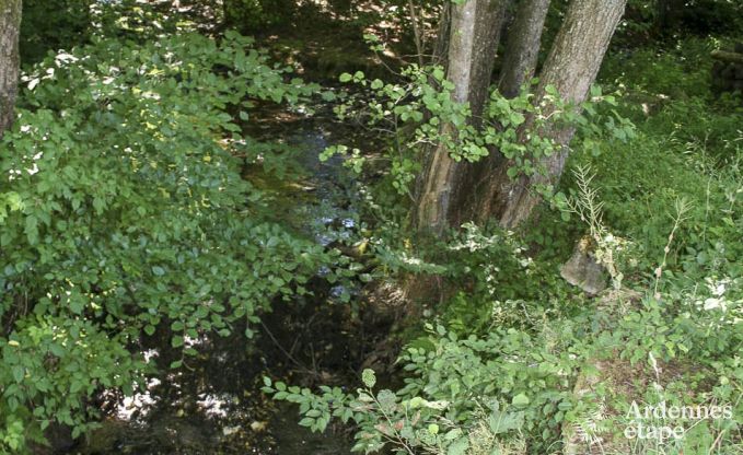 Ferienhaus Herbeumont 4 Pers. Ardennen