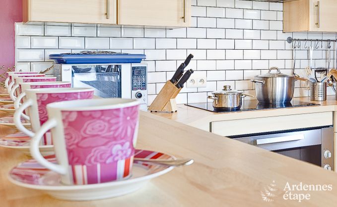 Ferienhaus Herbeumont 22 Pers. Ardennen Wellness Behinderten gerecht