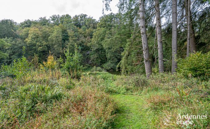 Luxusvilla Herbeumont 32 Pers. Ardennen