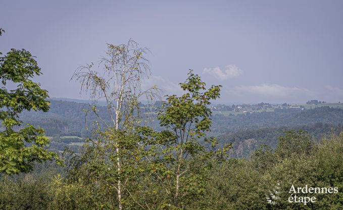 Luxusvilla Herbeumont 20 Pers. Ardennen Schwimmbad Wellness Behinderten gerecht