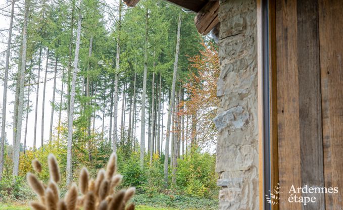 Cottage Herbeumont 12 Pers. Ardennen