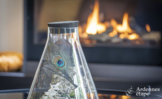 Luxusvilla Herbeumont 12 Pers. Ardennen Wellness