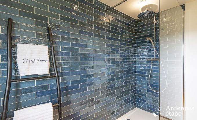 Luxusvilla Herbeumont 20 Pers. Ardennen Schwimmbad Wellness Behinderten gerecht