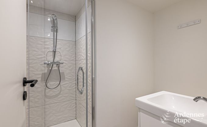 Luxusvilla Herbeumont 20 Pers. Ardennen Schwimmbad Wellness Behinderten gerecht