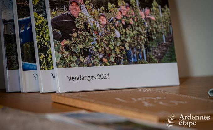 Ferienhaus H�ron 8 Pers. Ardennen