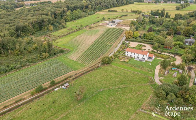Ferienhaus H�ron 8 Pers. Ardennen