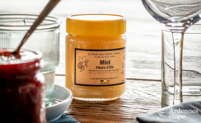 Ferienhaus H�ron 8 Pers. Ardennen