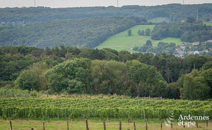 Ferienhaus H�ron 8 Pers. Ardennen