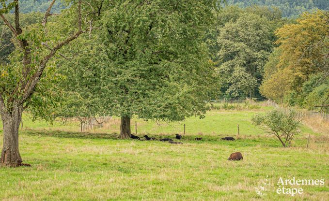 Ferienhaus H�ron 8 Pers. Ardennen