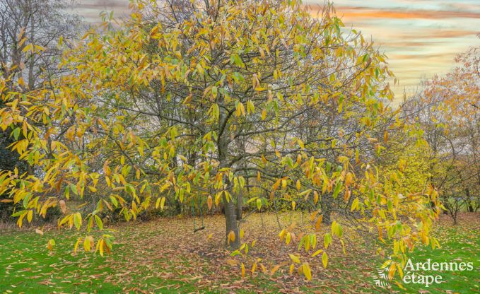 Ferienhaus Herve 12 Pers. Ardennen Wellness
