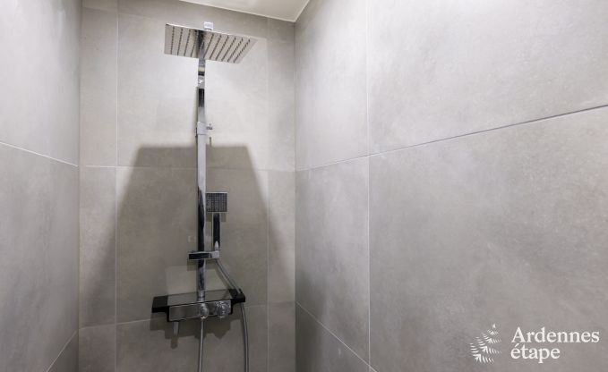 Ferienhaus Herve 12 Pers. Ardennen Wellness