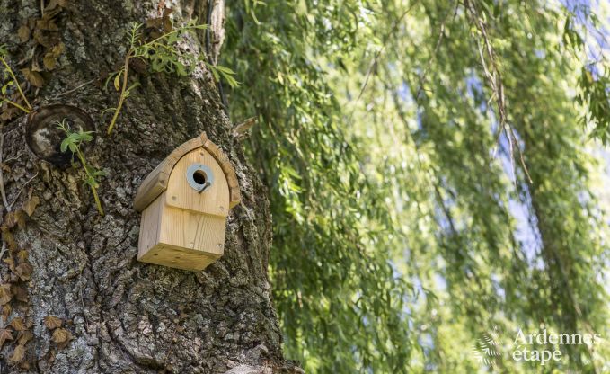 Ferienhaus Herve 4 Pers. Ardennen