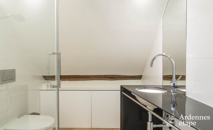 Ferienhaus Herve 14 Pers. Ardennen Wellness