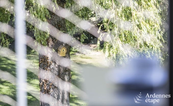 Ferienhaus Herve 14 Pers. Ardennen Wellness