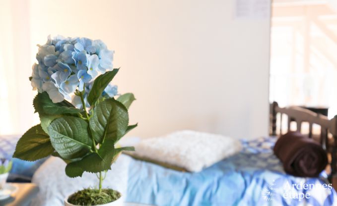 Ferienhaus Herve 12/14 Pers. Ardennen Wellness