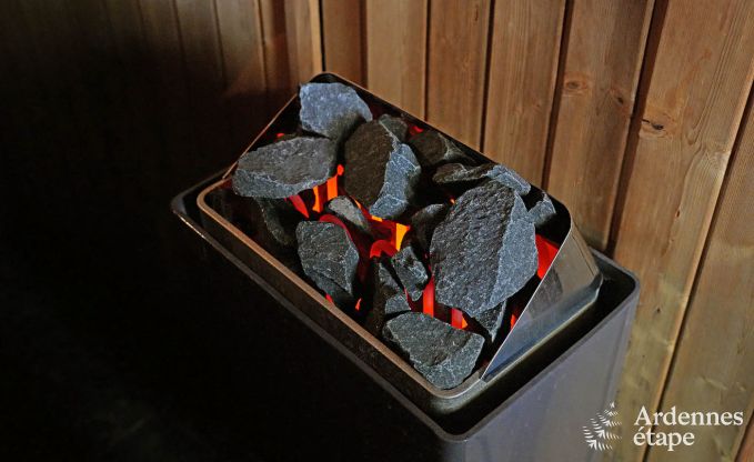 Schloss Hockai 20 Pers. Ardennen Schwimmbad Wellness